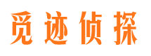 隆子寻人公司